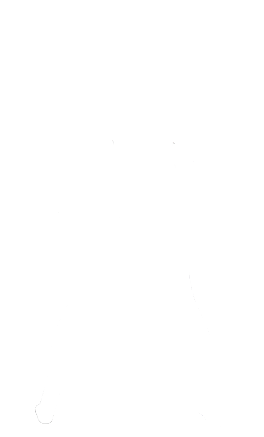 Silhouette 7